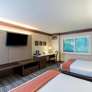 Zimmer mit Queensize-Bett